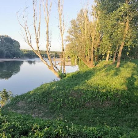 Villa Pertini Appartamento Primo Piano Nel Parco Oglio SudCanneto sull'Oglio エクステリア 写真