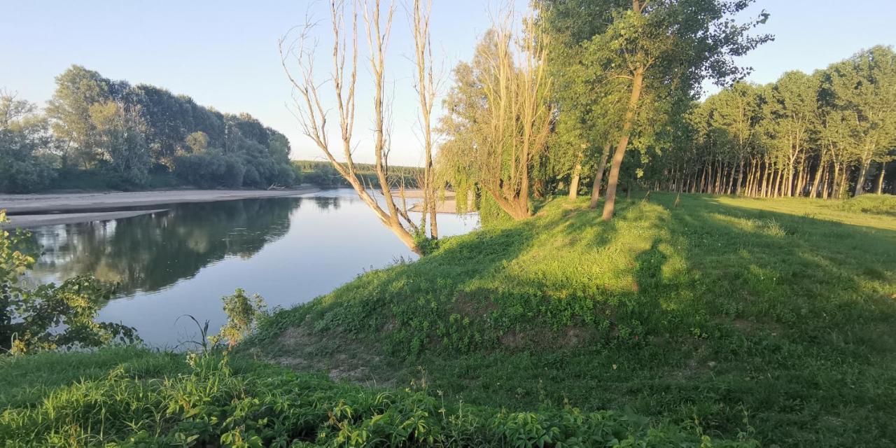 Villa Pertini Appartamento Primo Piano Nel Parco Oglio SudCanneto sull'Oglio エクステリア 写真